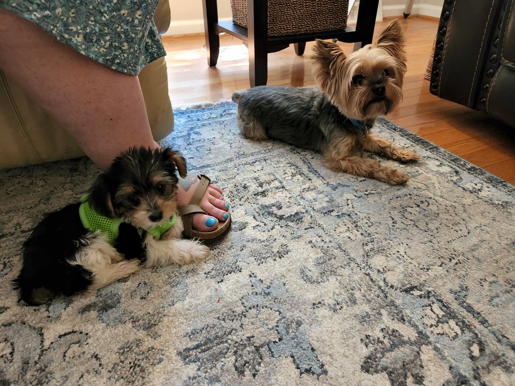 Henry & Wesley Kamichoff: images/20220717_113007.jpg