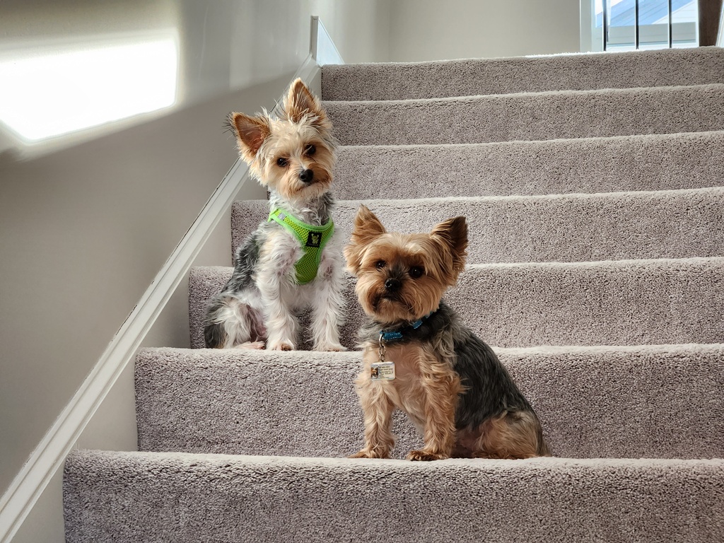 Henry & Wesley Kamichoff: images/20230208_091650-sm.jpg