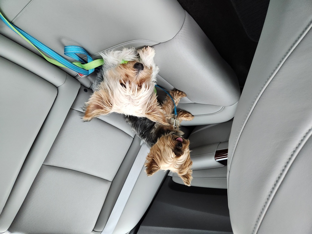 Henry & Wesley Kamichoff: images/20230310_084223_0.jpg