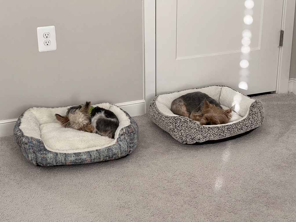 Henry & Wesley Kamichoff: images/IMG_0278.jpg