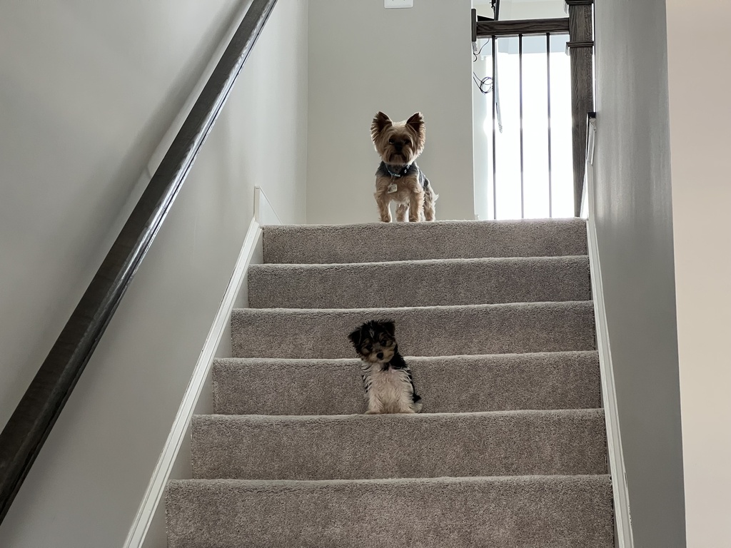 Henry & Wesley Kamichoff: images/IMG_3362_sm1.jpg