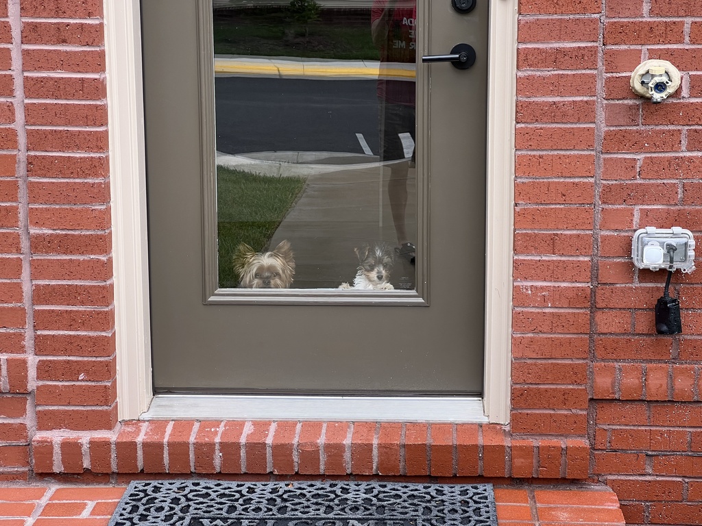 Henry & Wesley Kamichoff: images/IMG_3373_sm1.jpg