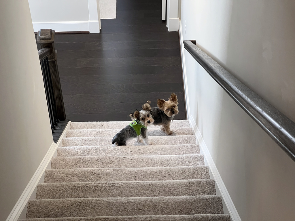 Henry & Wesley Kamichoff: images/IMG_3812.jpg