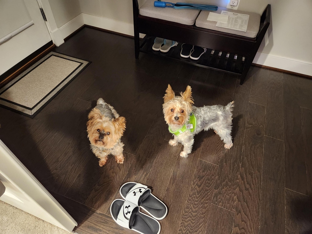 Henry & Wesley Kamichoff: images/signal324987.jpg