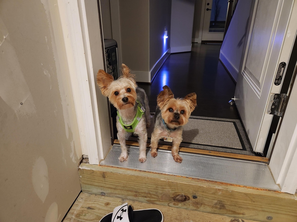 Henry & Wesley Kamichoff: images/signal4857.jpg