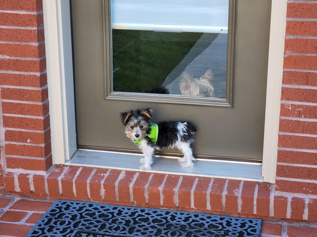 Henry & Wesley Kamichoff: images/wesandhen009.jpg